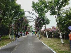 -尚贤河湿地