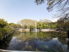 -武汉大学-樱园