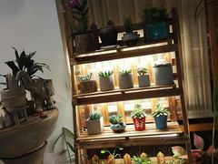-十二舍·湯物素煮(江泰潤政店)