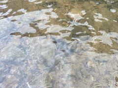 -安吉龙王山峡谷漂流