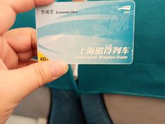 -龙阳路磁悬浮列车总站-停车场