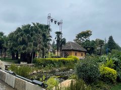 -云南民族村