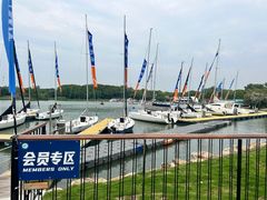 -上海美帆帆船露营基地
