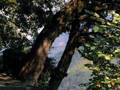 -严子陵钓台(富春江小三峡)