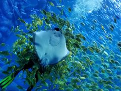 -波塞冬旅游度假区