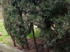 -四川大学(望江校区)