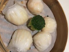 -金悦轩海鲜城(渔人码头店)
