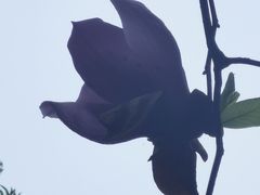 -杭州黄龙洞