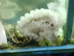 -北方饺子王·海肠捞饭·海鲜锅(山大店)