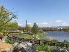 -羊亭河湿地公园