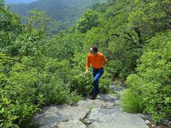 -阳台山自然风景区