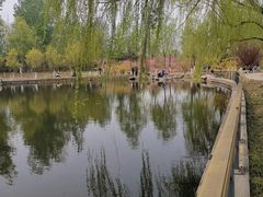 -济南植物园