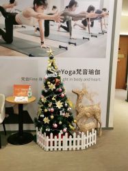 -FineYoga梵音瑜伽·普拉提