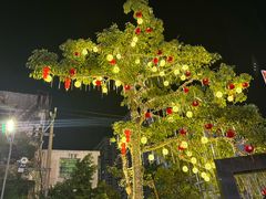 -FPA(友谊阳光城店铺)