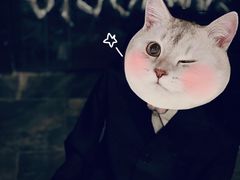 -怦然秘事游戏体验馆(银座和谐广场店)