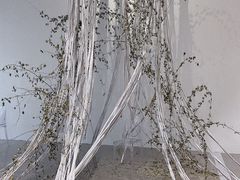 -桉树林A coffee 森林餐厅(三圣乡店)