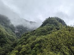 -老界岭旅游度假区