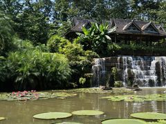 -中国科学院西双版纳热带植物园