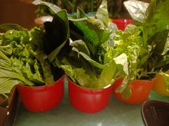 -美食汇·海鲜自助西餐厅·江门富力万达嘉华酒店