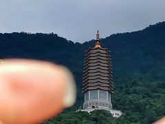 -深圳仙湖植物园