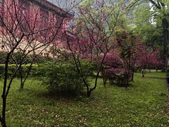-桂林独秀峰王城景区