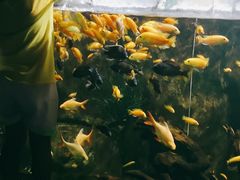 -嘉兴海底世界
