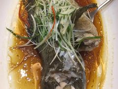 -威尼国际酒店西餐厅