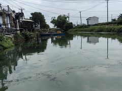 -小陆莲花蟹园农家乐(莲花岛店)