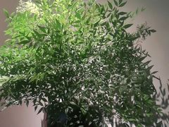 -山里亲戚(淞虹路店)