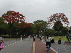 -顺峰山公园