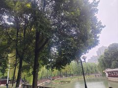 -温江公园