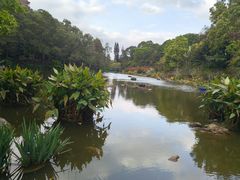-深圳仙湖植物园