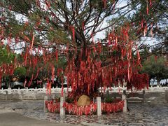 -南沙天后宫景区