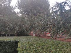 -辛亥革命博物院北区
