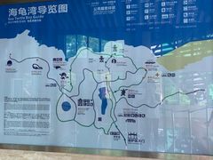 -广东惠东海龟国家级自然保护区