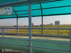 -长兴对江渡客运站