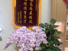 -小荧星艺校(大宁分校)