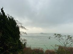 -上海市保健医疗中心