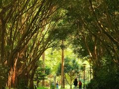 -燕晗山郊野公园
