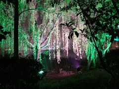 -长广溪湿地公园