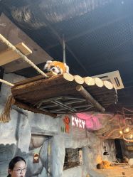 -Zoolung Zoolung动物主题公园(海信广场店)