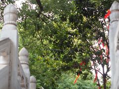 -宝通禅寺