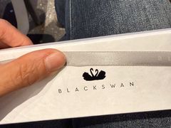 -BLACKSWAN黑天鹅(环球店)