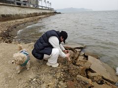 -鄱阳湖国家湿地公园