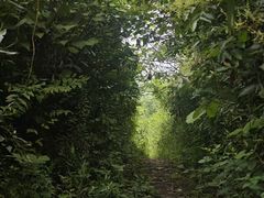 -敬亭山风景名胜区