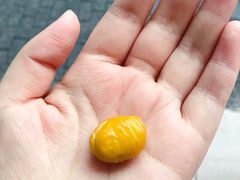 -阿男野栗王(金门路店)