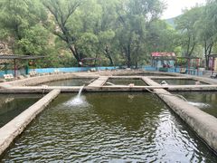 -双新垂钓园
