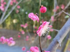 -艾山风景名胜区