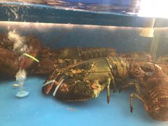 -宁波石浦大饭店(新材料城店)