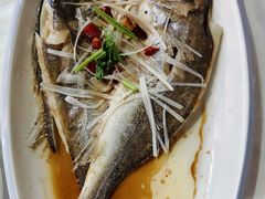 -日照大牌檔•小船海鲜(万平口店)